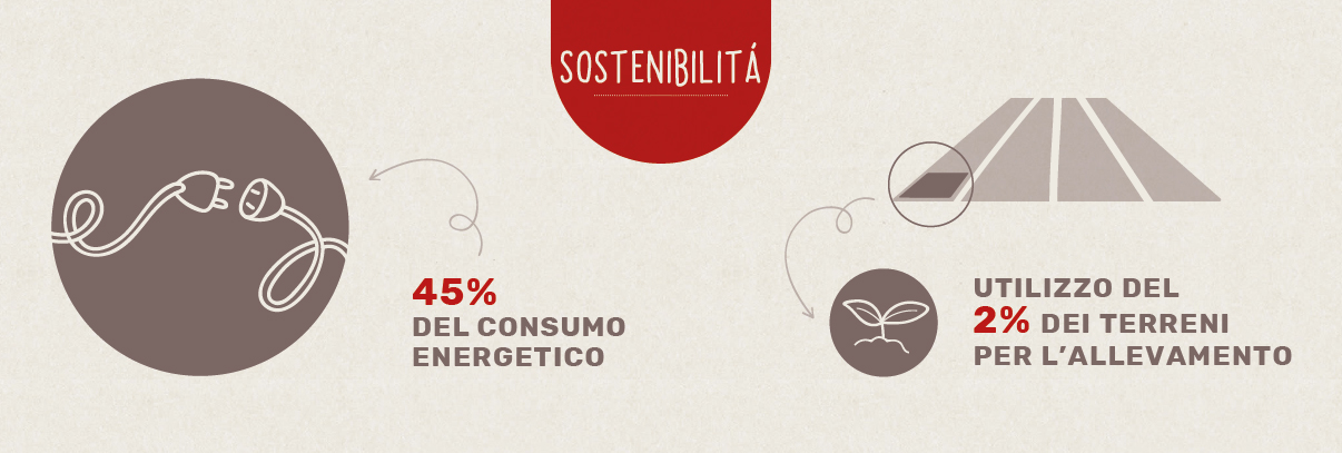 Infografica carne artificiale e sostenibilità